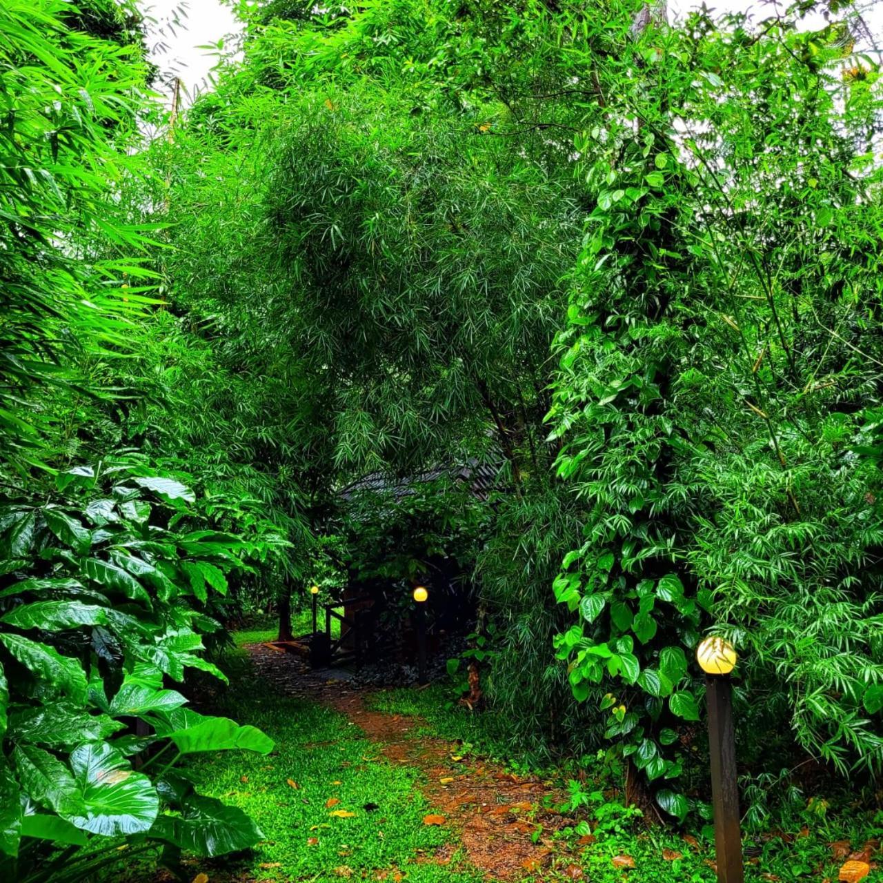 Greens Tree House & Wood House Sultan Bathery Esterno foto