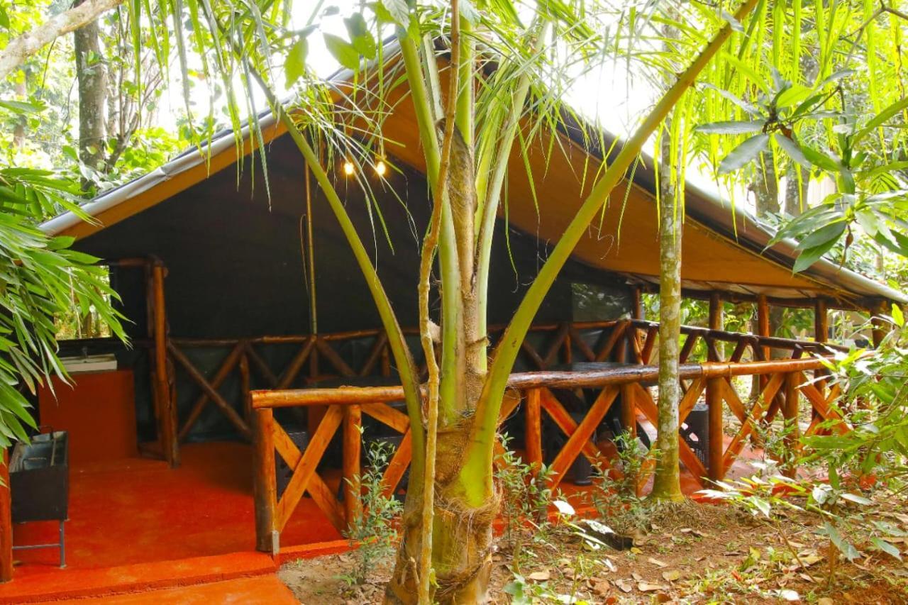 Greens Tree House & Wood House Sultan Bathery Esterno foto
