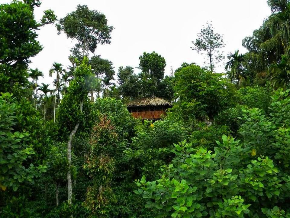 Greens Tree House & Wood House Sultan Bathery Esterno foto