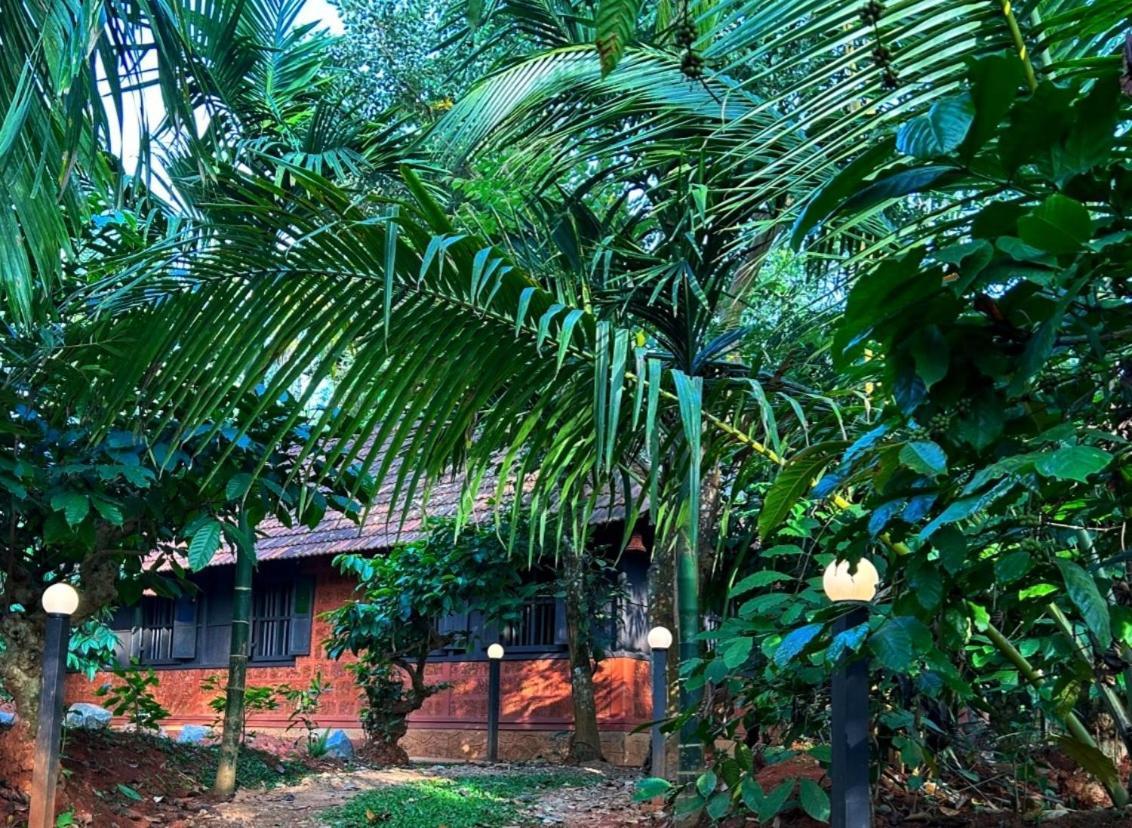Greens Tree House & Wood House Sultan Bathery Esterno foto