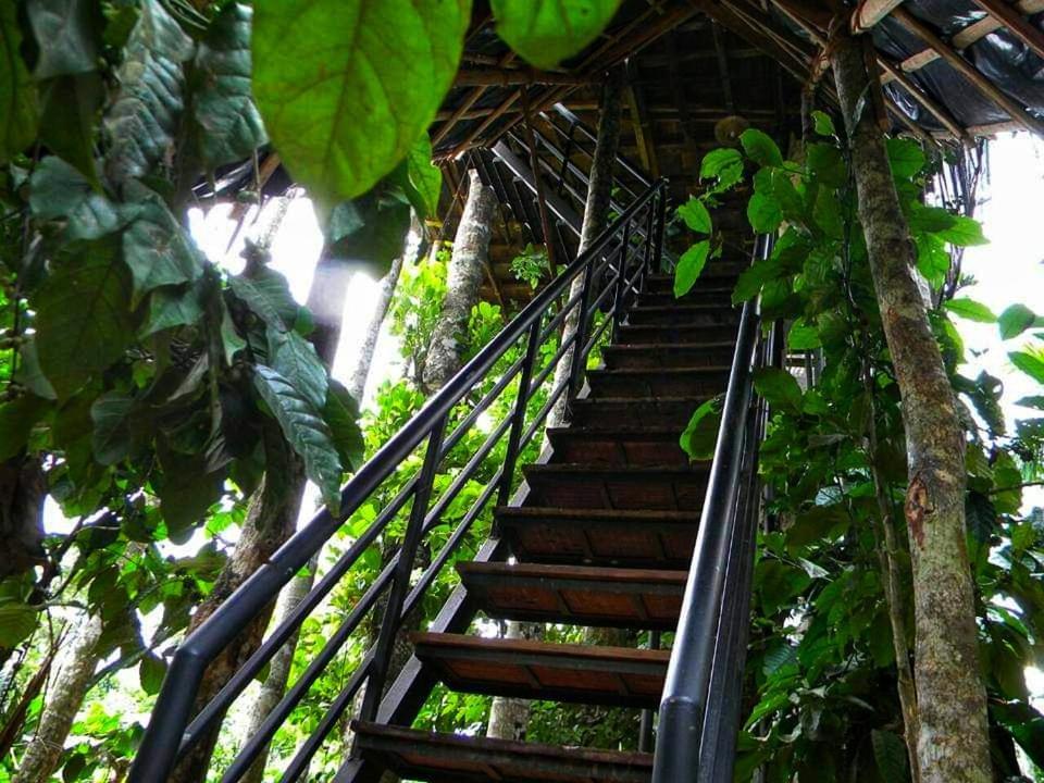 Greens Tree House & Wood House Sultan Bathery Esterno foto