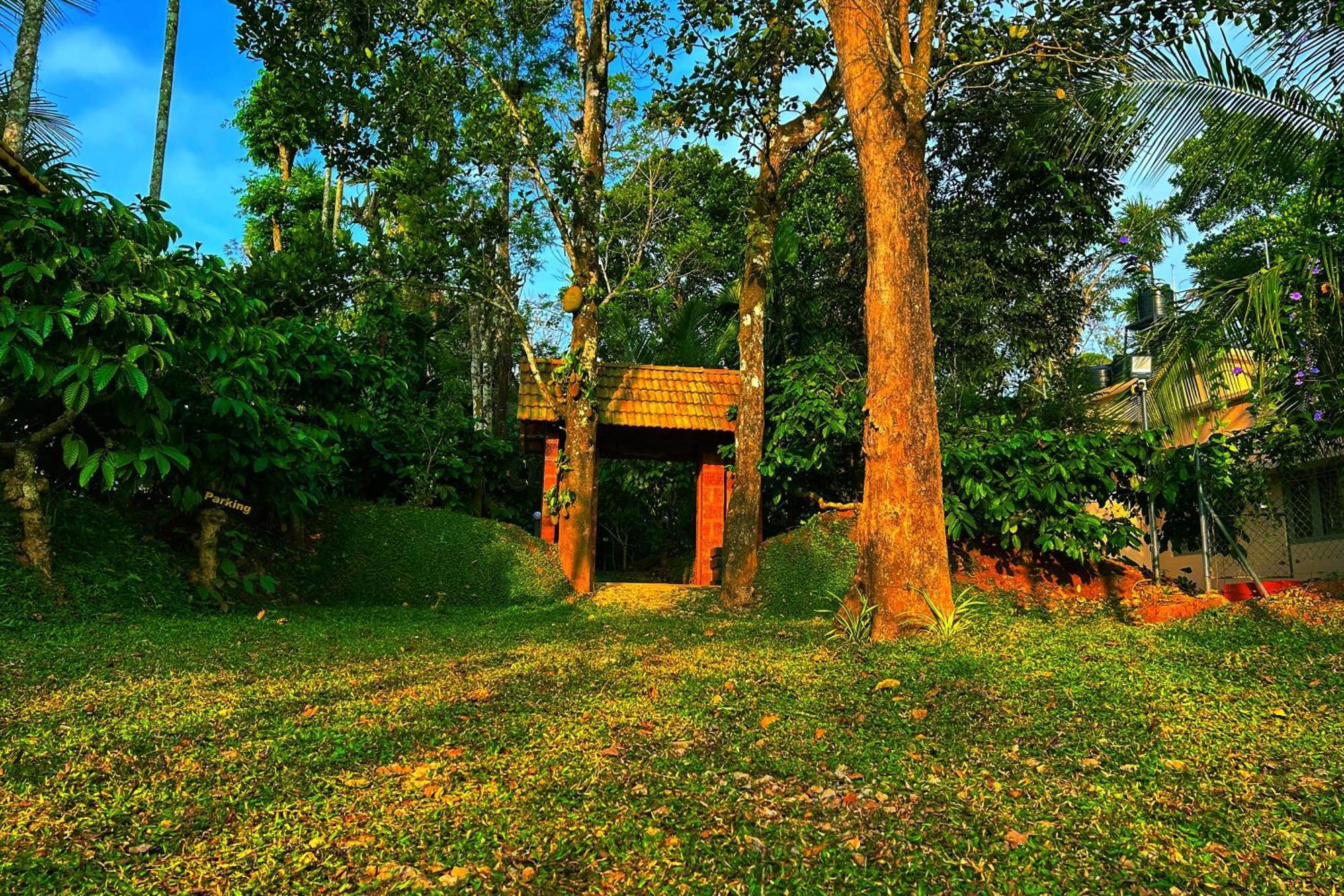 Greens Tree House & Wood House Sultan Bathery Esterno foto