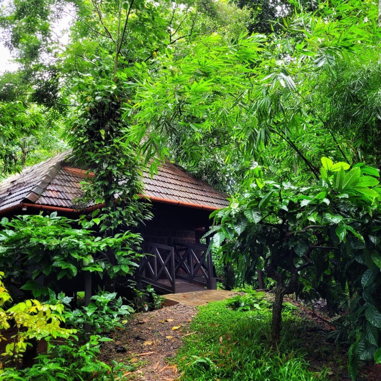 Greens Tree House & Wood House Sultan Bathery Esterno foto