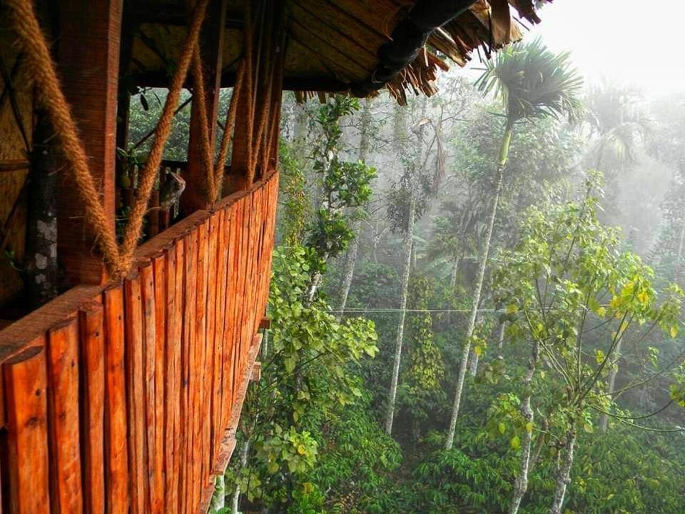 Greens Tree House & Wood House Sultan Bathery Esterno foto