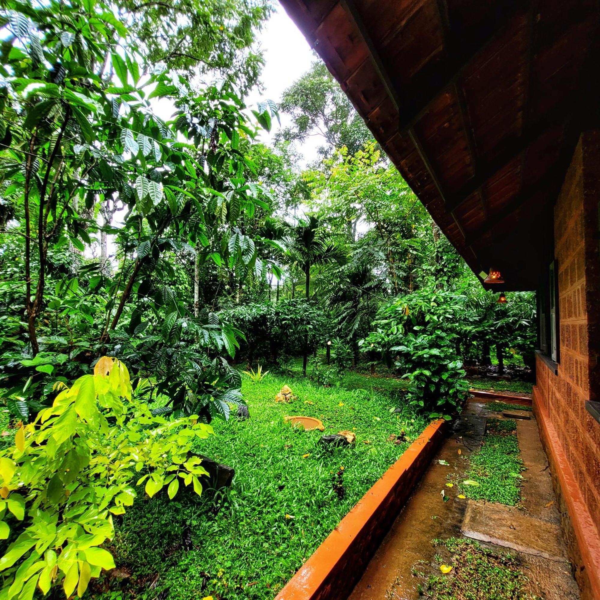 Greens Tree House & Wood House Sultan Bathery Esterno foto