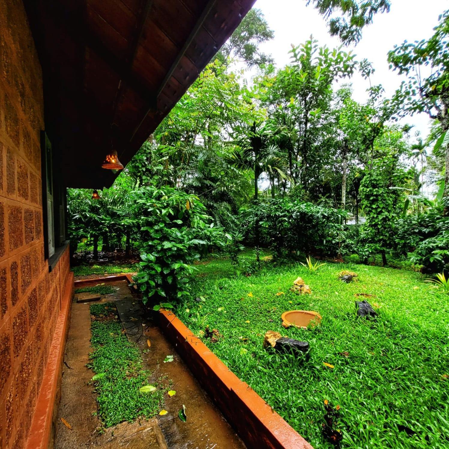 Greens Tree House & Wood House Sultan Bathery Esterno foto