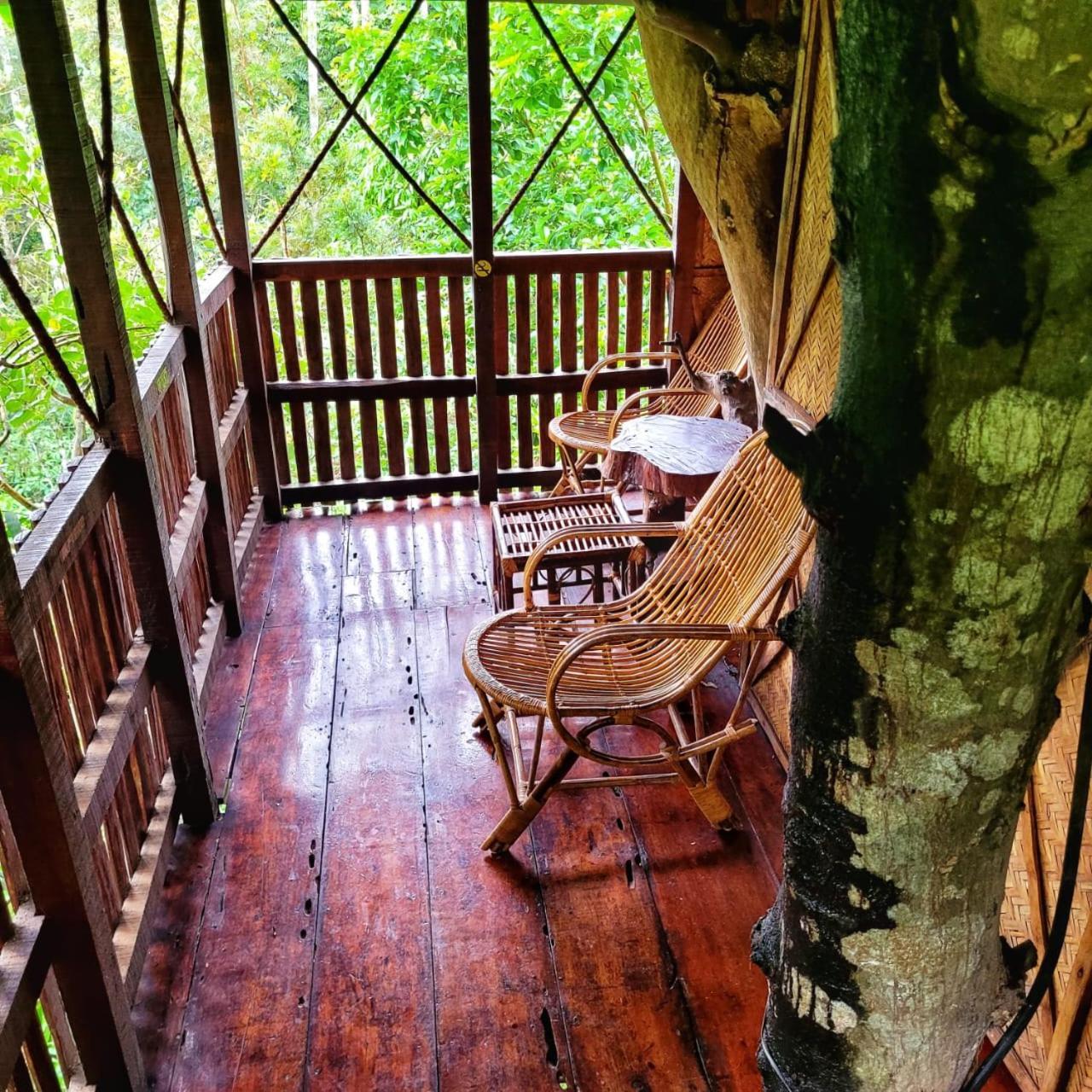 Greens Tree House & Wood House Sultan Bathery Esterno foto