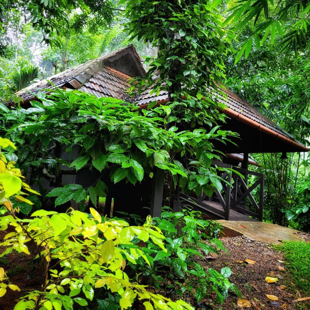 Greens Tree House & Wood House Sultan Bathery Esterno foto