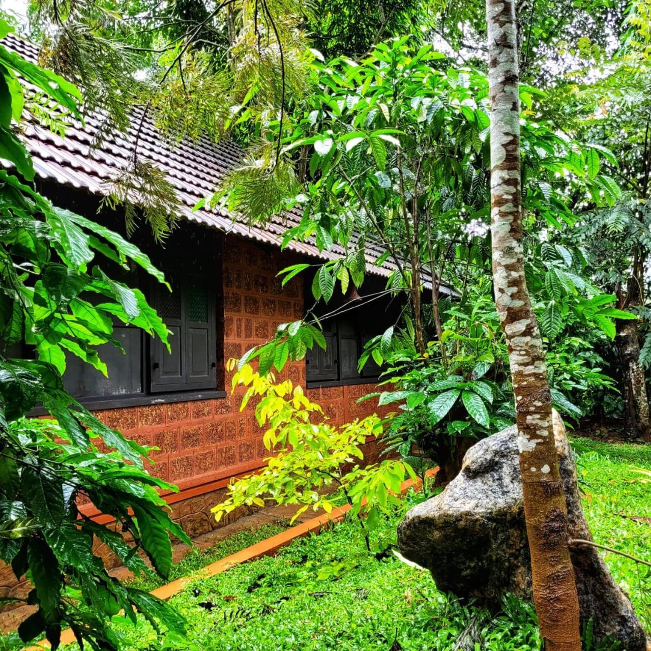Greens Tree House & Wood House Sultan Bathery Esterno foto