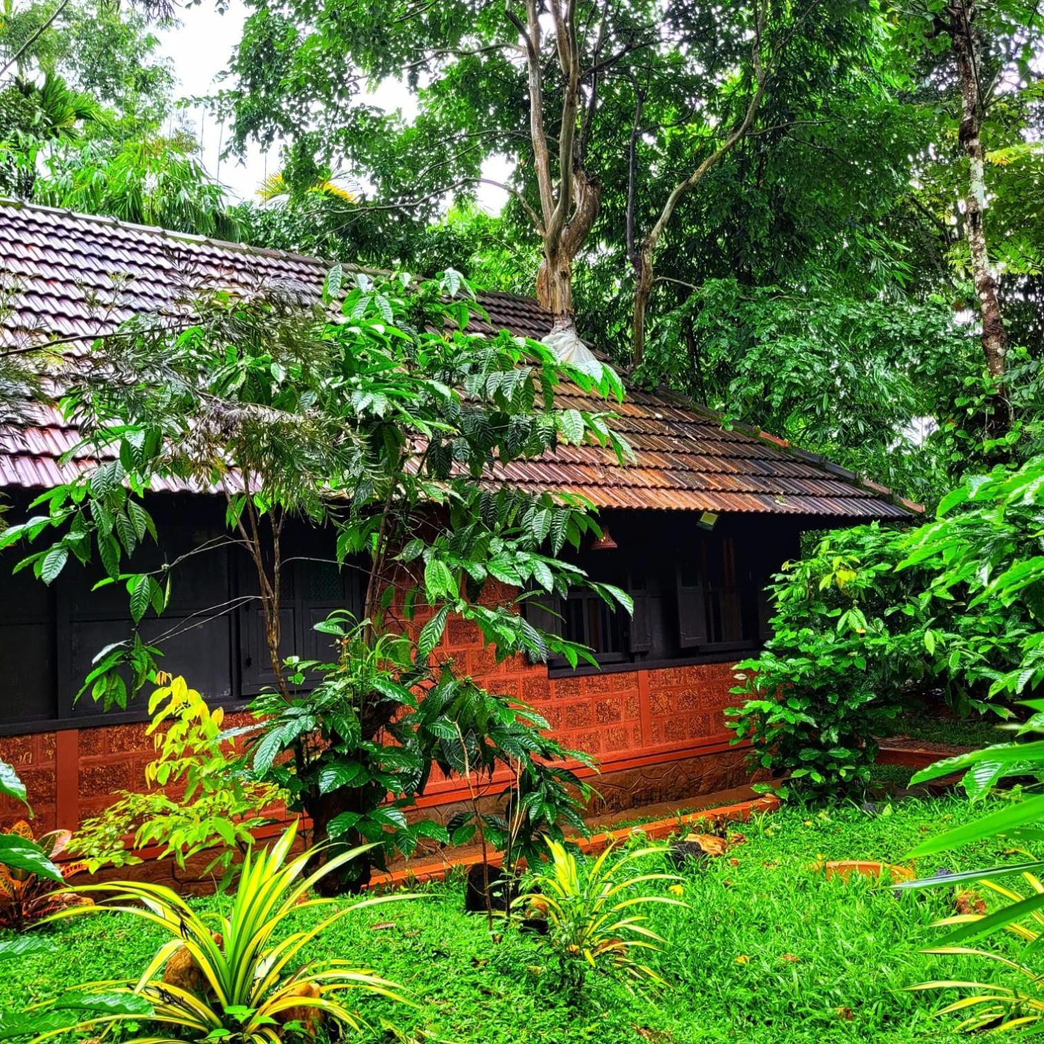 Greens Tree House & Wood House Sultan Bathery Esterno foto