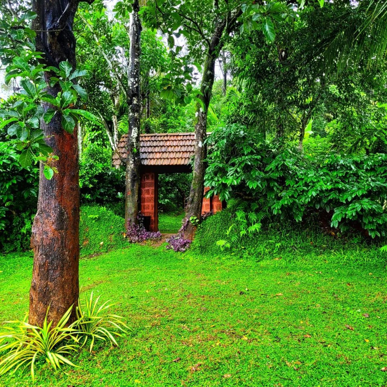 Greens Tree House & Wood House Sultan Bathery Esterno foto