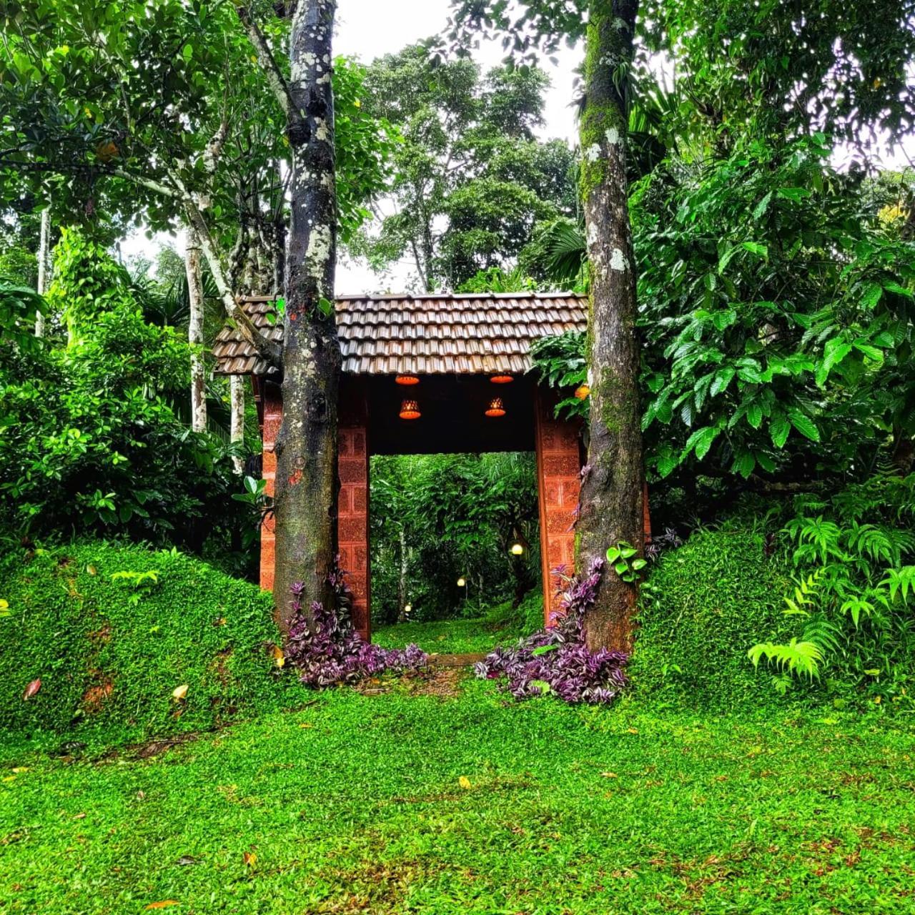 Greens Tree House & Wood House Sultan Bathery Esterno foto
