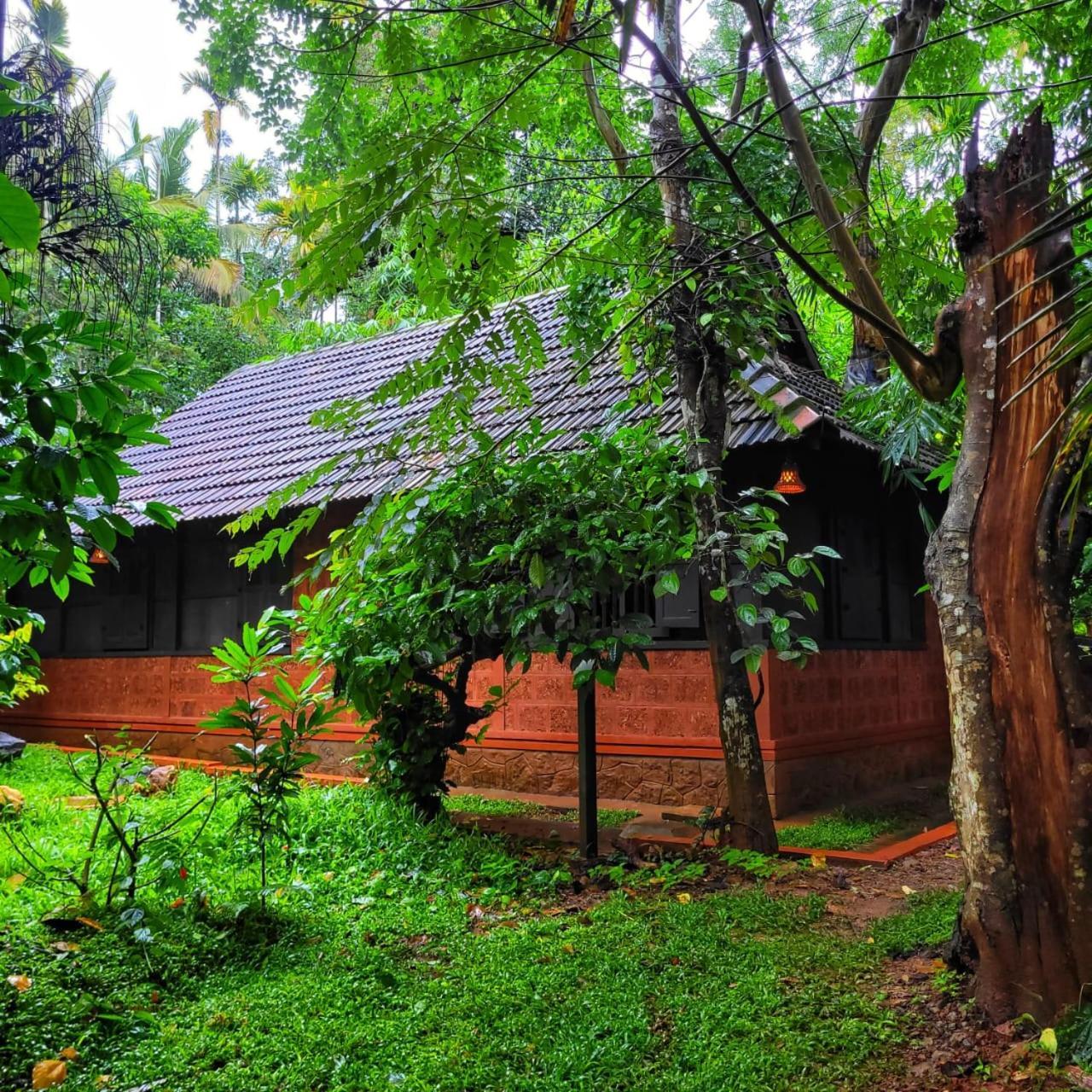 Greens Tree House & Wood House Sultan Bathery Esterno foto