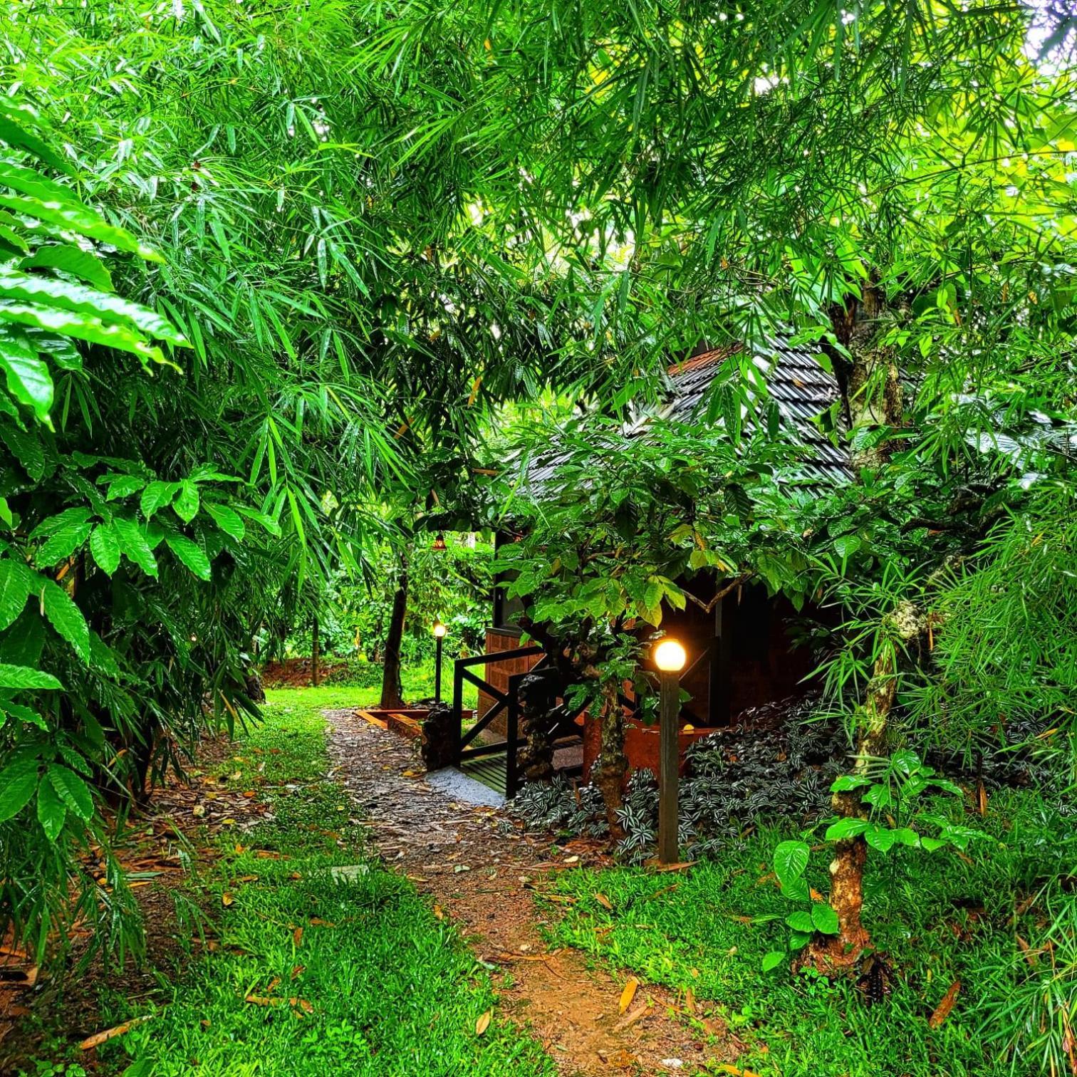 Greens Tree House & Wood House Sultan Bathery Esterno foto