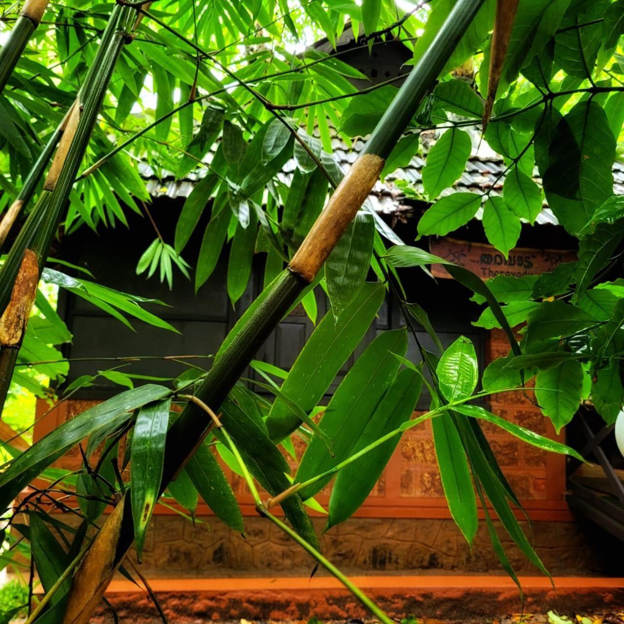 Greens Tree House & Wood House Sultan Bathery Esterno foto